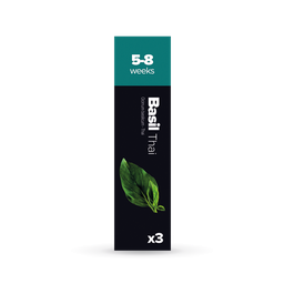 [H004] Basilic Thai