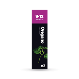 [H012] Origan